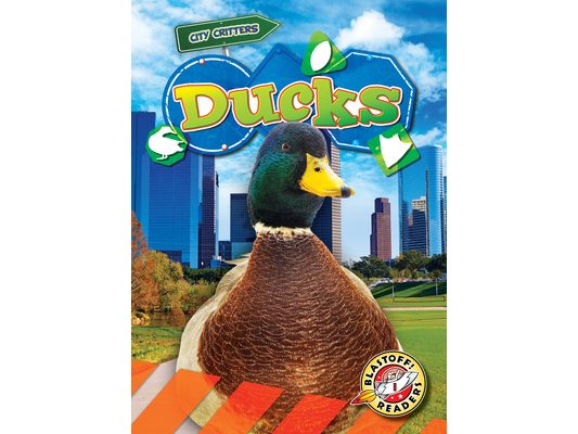 Ducks