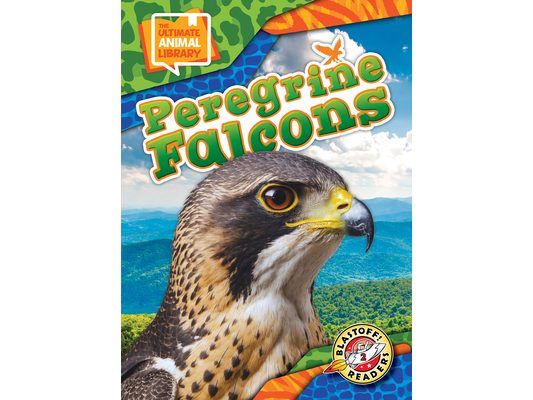 Peregrine Falcons
