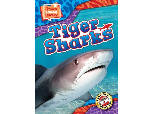 Tiger Sharks