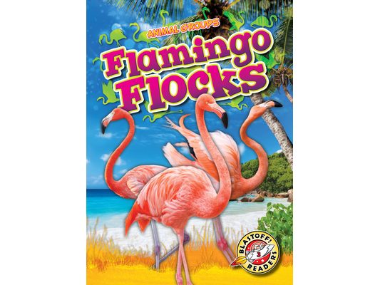 Flamingo Flocks