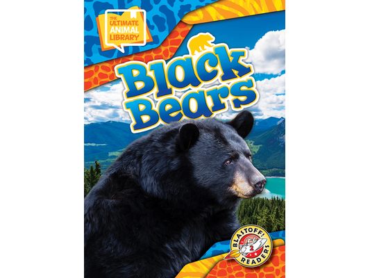Black Bears