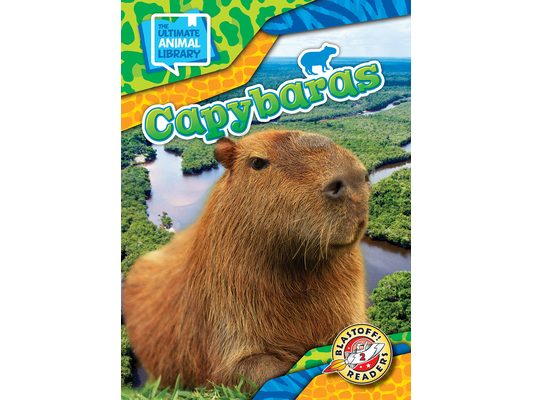Capybaras