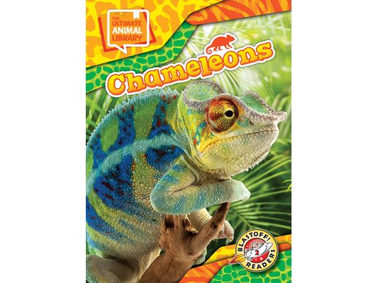 Chameleons