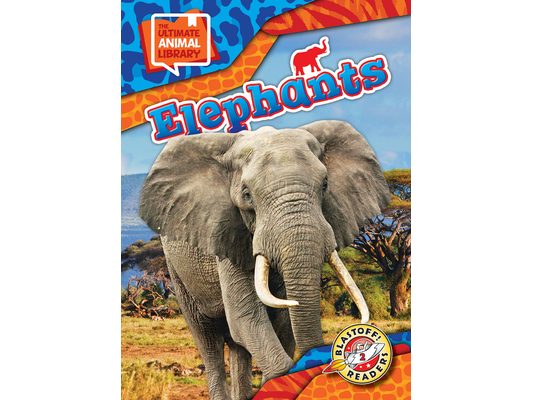 Elephants