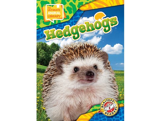 Hedgehogs