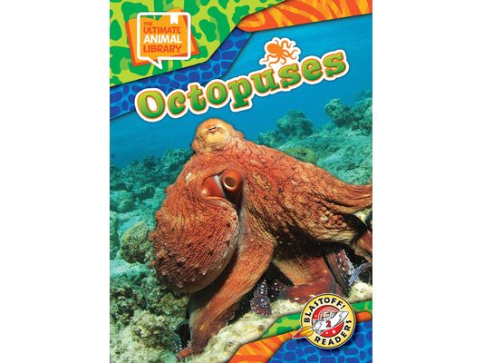 Octopuses