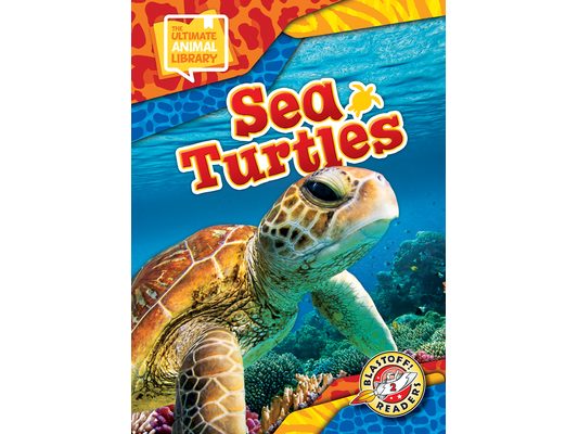 Sea Turtles