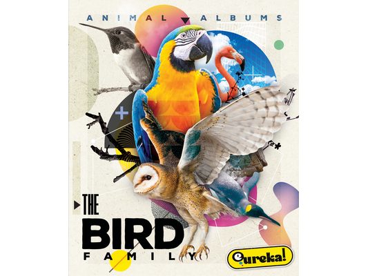 The Bird Family