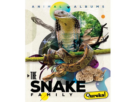 The Snake Family
