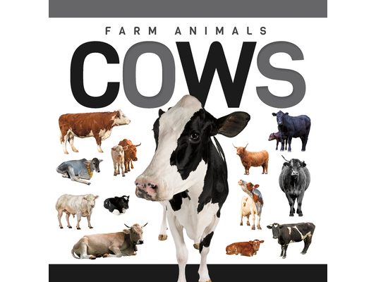 Cows