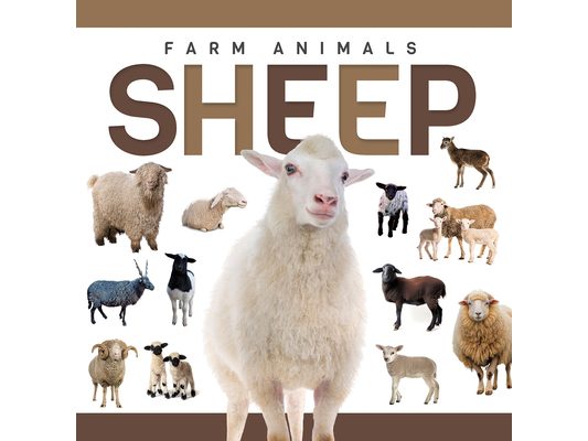 Sheep