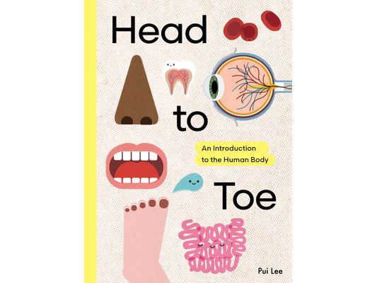 Head to Toe: An Introduction to the Human Body