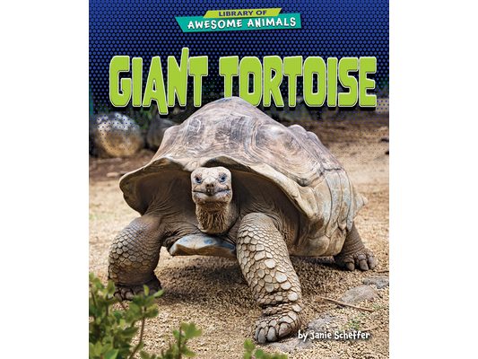Giant Tortoise