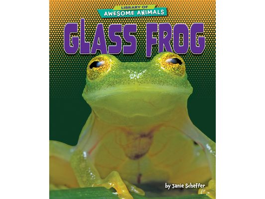 Glass Frog