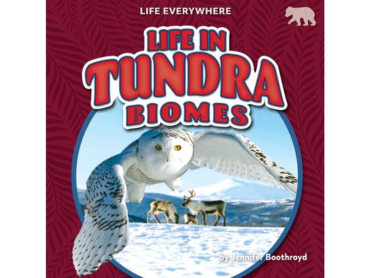 Life in Tundra Biomes