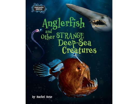 Anglerfish and Other Strange Deep-Sea Creatures