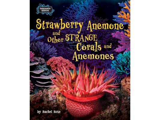 Strawberry Anemone and Other Strange Corals and Anemones