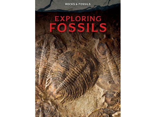 Exploring Fossils