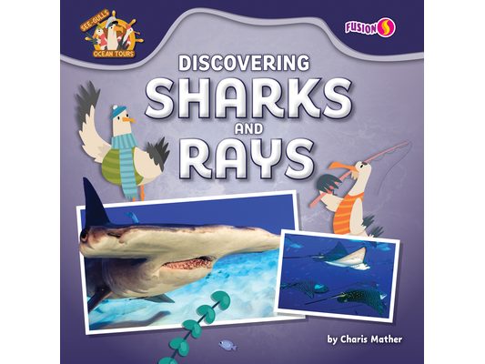 Discovering Sharks and Rays