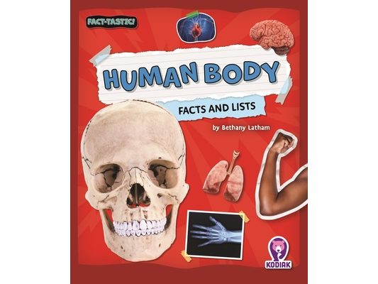Human Body Facts and Lists