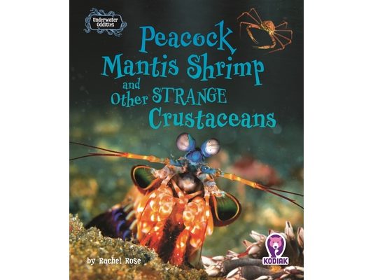 Peacock Mantis Shrimp and Other Strange Crustaceans