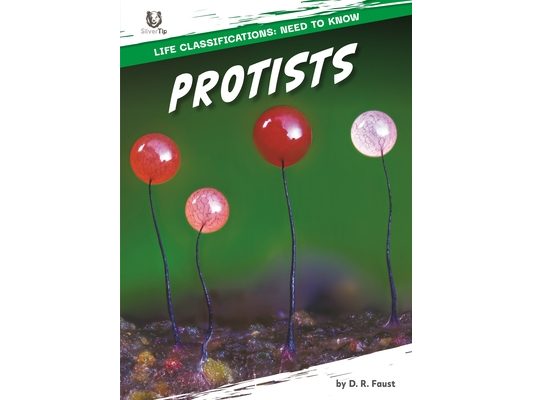 Protists