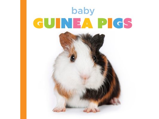 Baby Guinea Pigs
