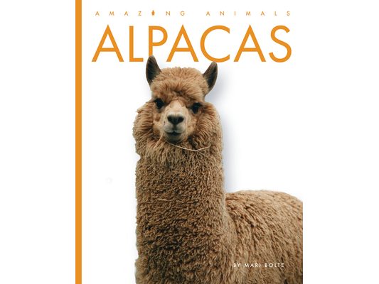 Alpacas