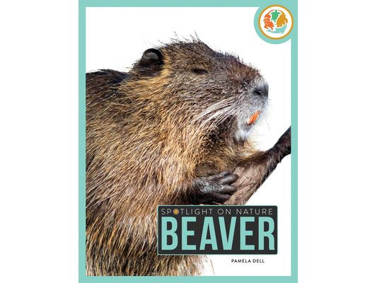 Beaver