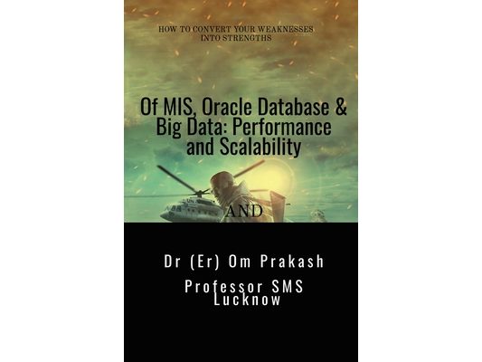 Of MIS, Oracle Database & Big Data: Performance and Scalability