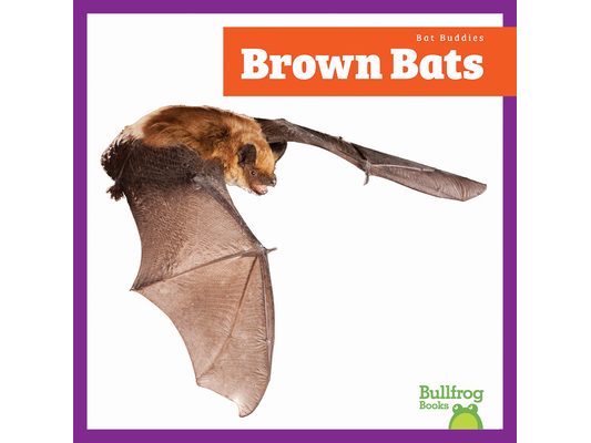Brown Bats