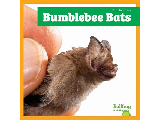 Bumblebee Bats