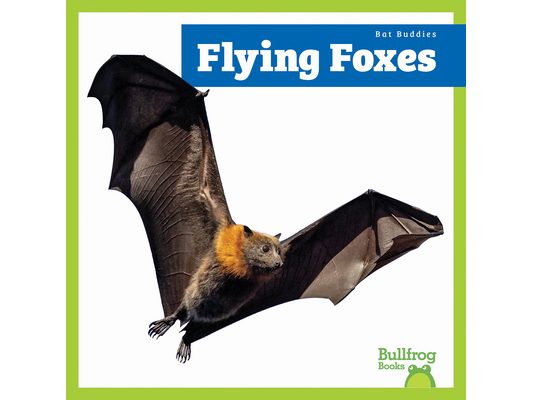 Flying Foxes