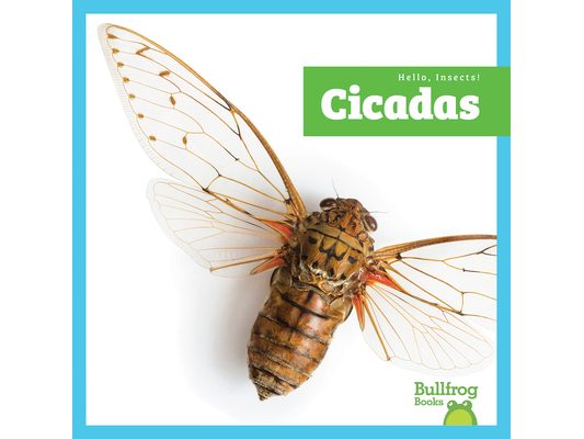Cicadas