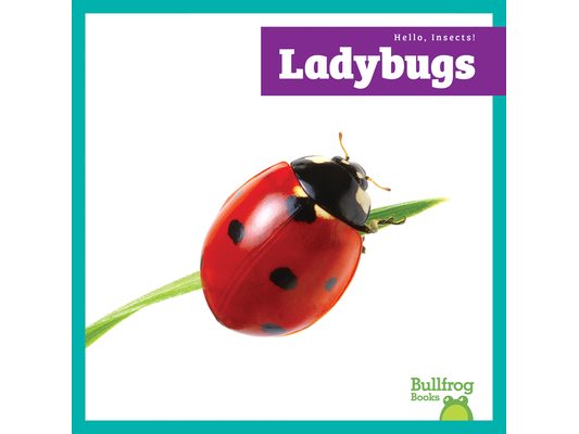 Ladybugs