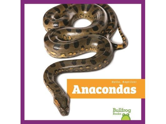Anacondas