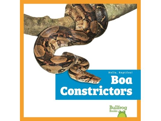 Boa Constrictors