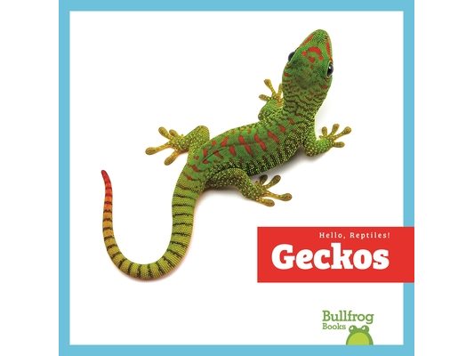 Geckos