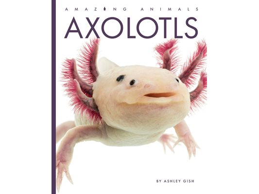Axolotls