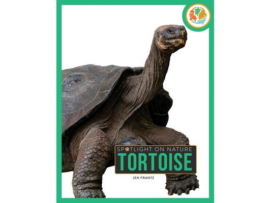 Tortoise