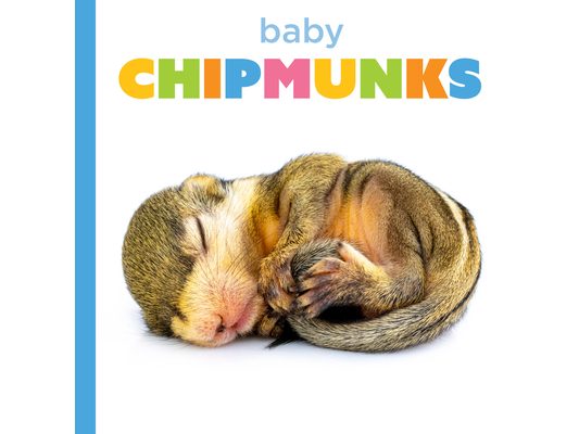 Baby Chipmunks
