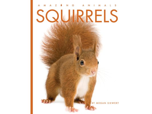 Squirrels