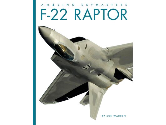 F-22 Raptor