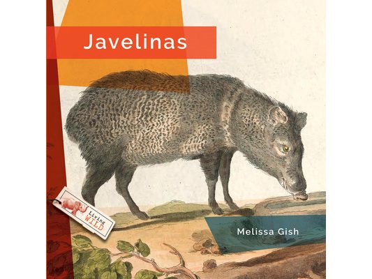 Javelinas