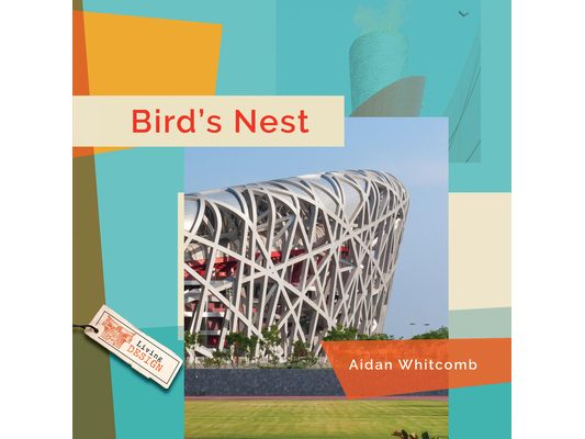 Bird's Nest