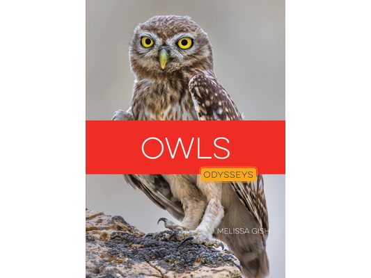 Owls