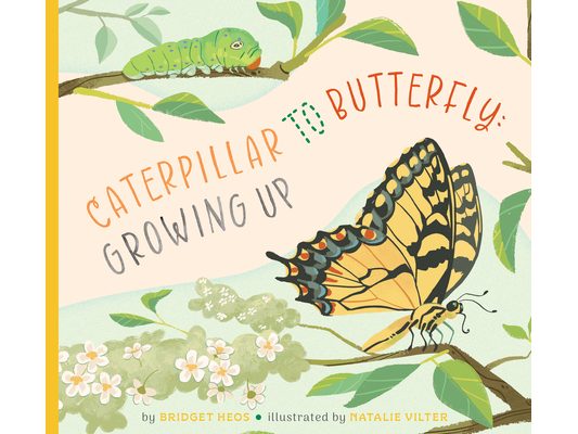 Caterpillar to Butterfly: Growing Up