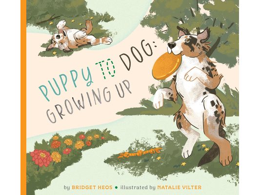 Puppy to Dog: Growing Up