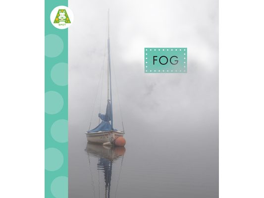 Fog