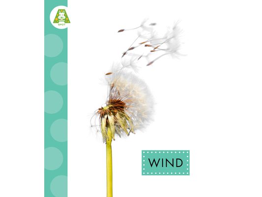Wind
